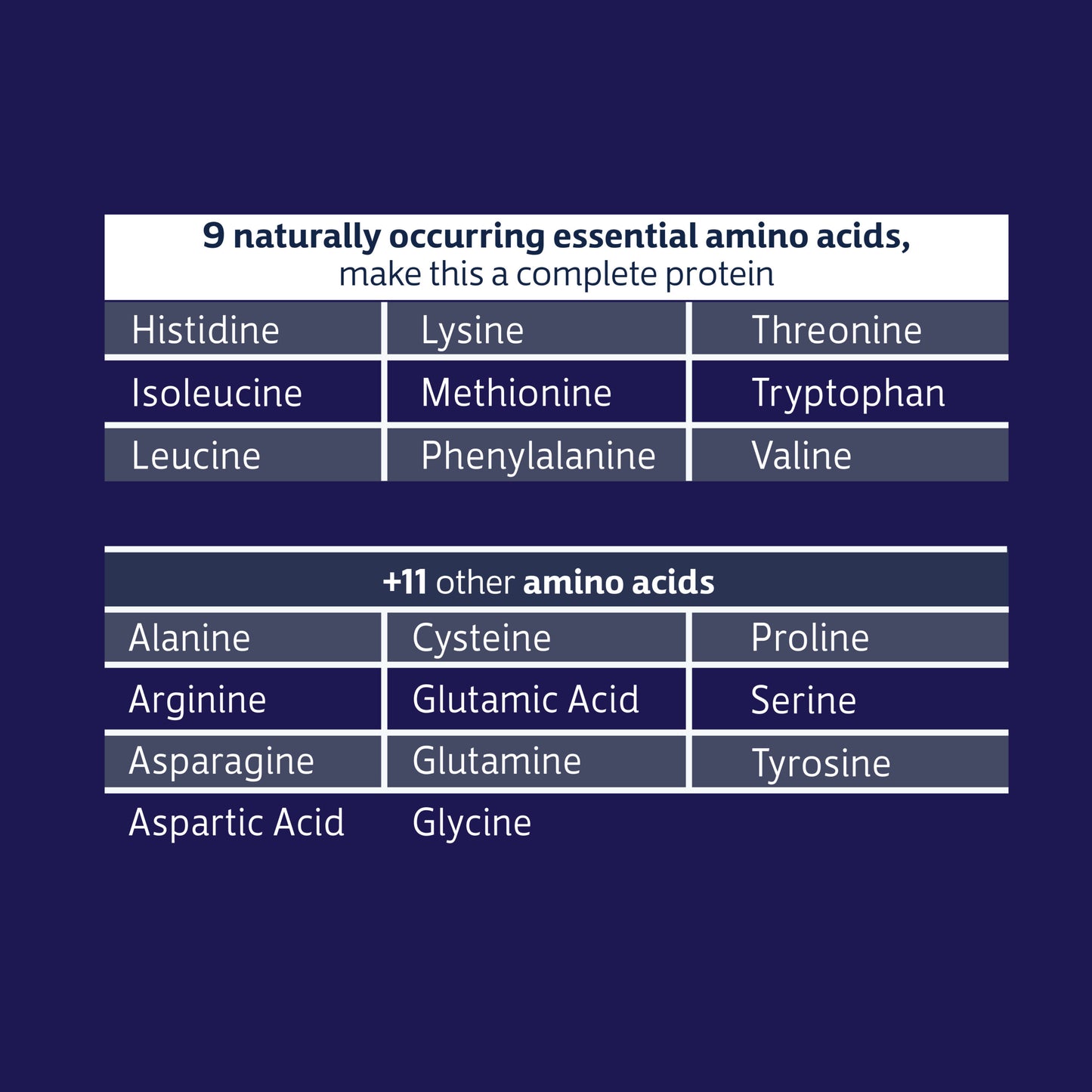 Whey Protein | Chocolate